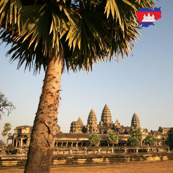 eSIM Cambodia
